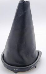 VİTES KÖRÜĞÜ CLIO III