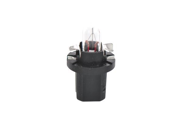 AMPUL PURE LİNGHT 12 V-B8-5D