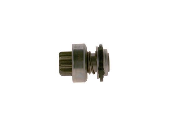 MARŞ DİŞLİSİ(1006209534)