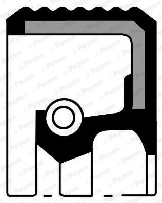 AKS KEÇESİ SAĞ DUCATO-BOXER-JUMPER (15 JANT) (32x50x10)