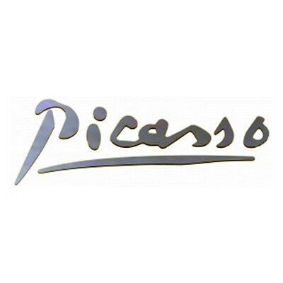 YAZI PICASSO C4 PC