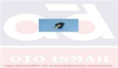 TEVZİ MAKARASI R11 FLASH 1.7 (ORJ.ÜRÜN)