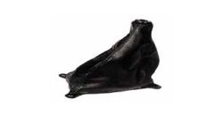 (x) VİTES ÜST KÖRÜĞÜ H100