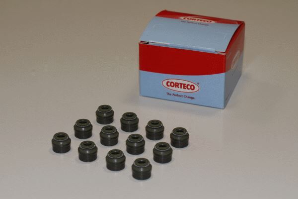 SUPAP LASTIGI BMW M42 M44 M50 M52 M54 M60 M62 E36 E46 E34 E39 E60 E38 E65 E66 E83 E53 E85 E86 E32 E31 E52 12`LI