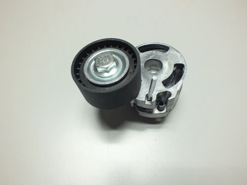 ALTERNATÖR GERGİ RULMANI (KÜTÜKLÜ) P206 1.4HDI-407-PARTNER 1.6 HDI-C3 1.6 16V-C5 1.6HDI-BERLINGO 1.6