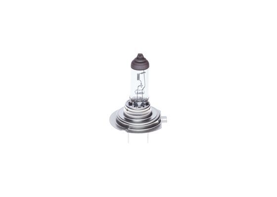 AMPUL - ECO TRUCK - 24 V - H7 - 70 W - PX26D