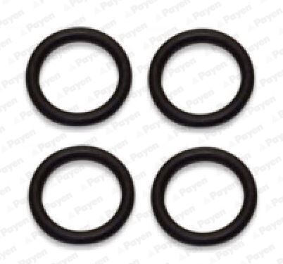 EMME MANİFOLD CONTASI P107-P206-P307-BIPPER-NEMO-C1-C2-C3-FIESTA-FUSION 1.4 HDI DV4