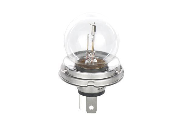 AMPUL (PURE LİGHT) 12V R2 45/40W P45T