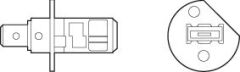 AMPUL 12V H1 55W KARTON KUTU - MAVİ ETKİ